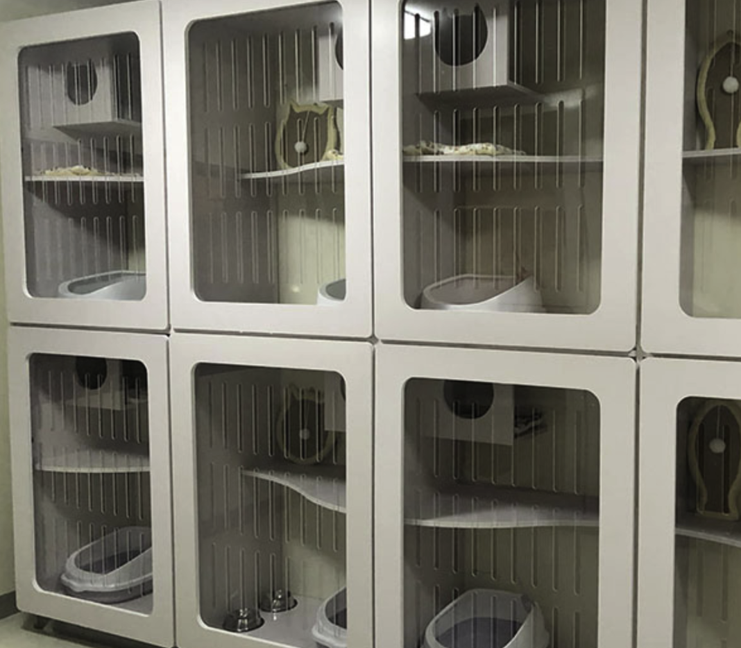 Pet Hotel
